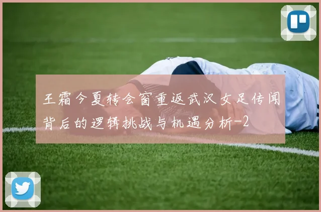 王霜今夏转会窗重返武汉女足传闻背后的逻辑挑战与机遇分析
