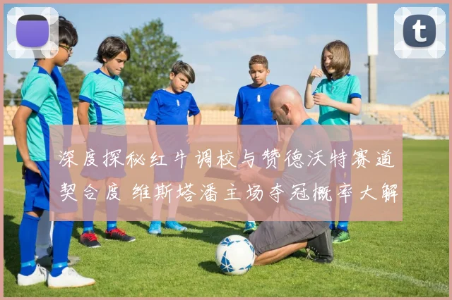 深度探秘红牛调校与赞德沃特赛道契合度 维斯塔潘主场夺冠概率大解析